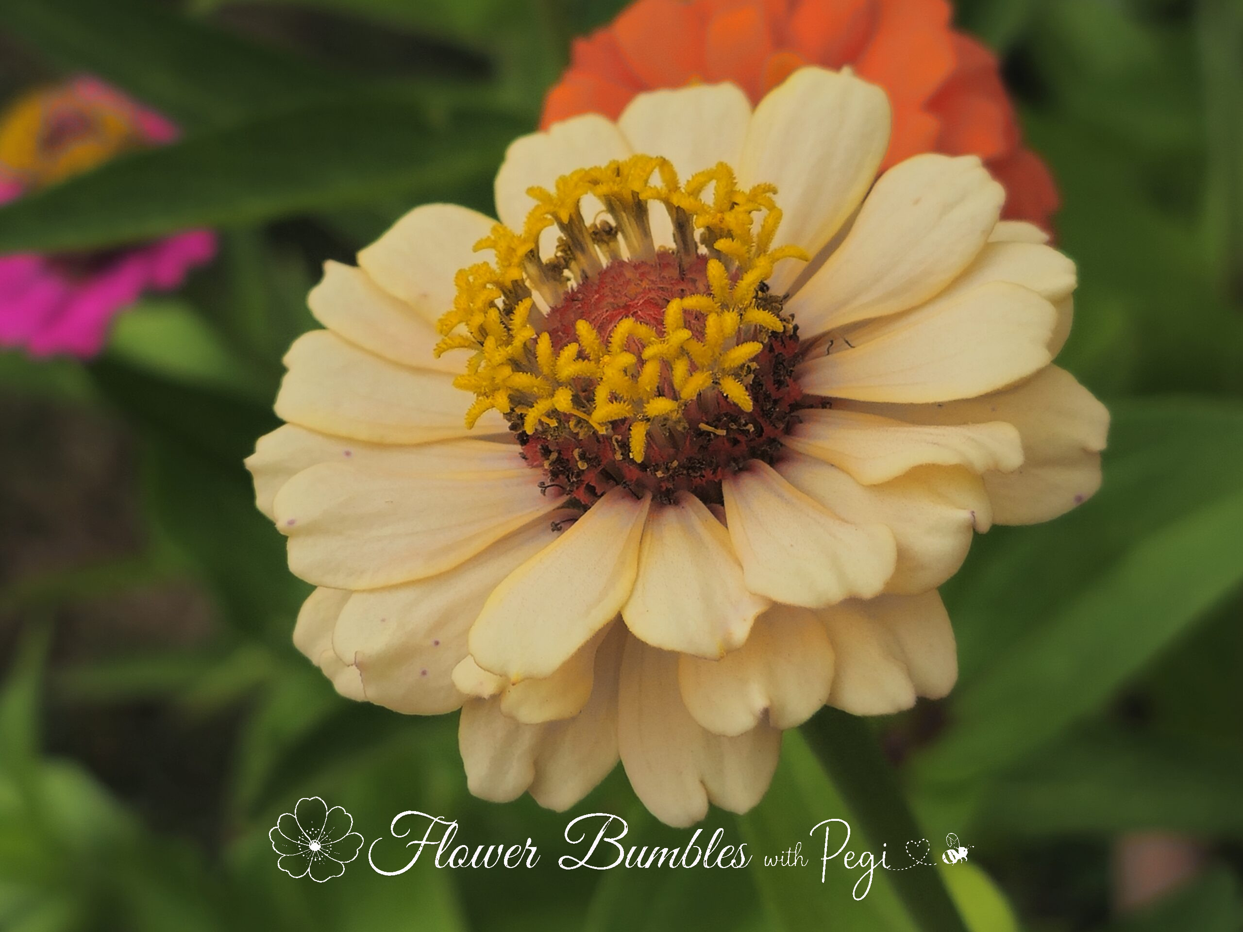Fine Art Botanical Capture