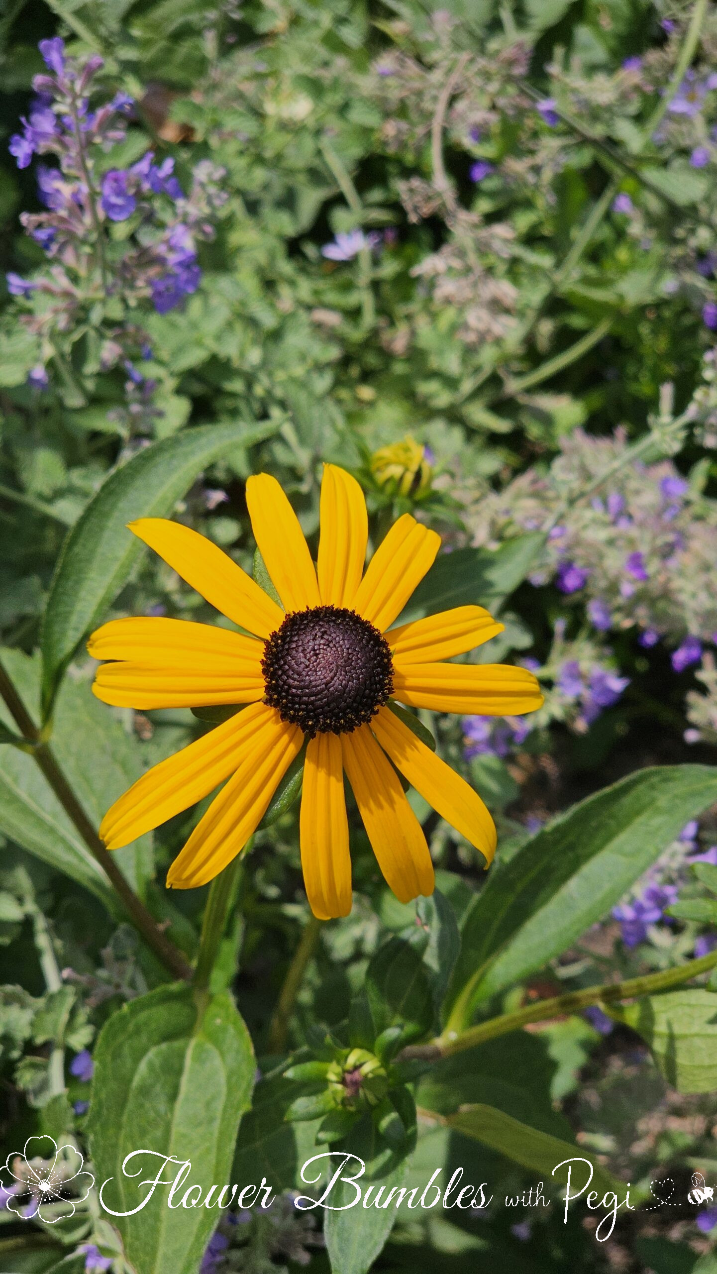 Casual Botanical Snapshot