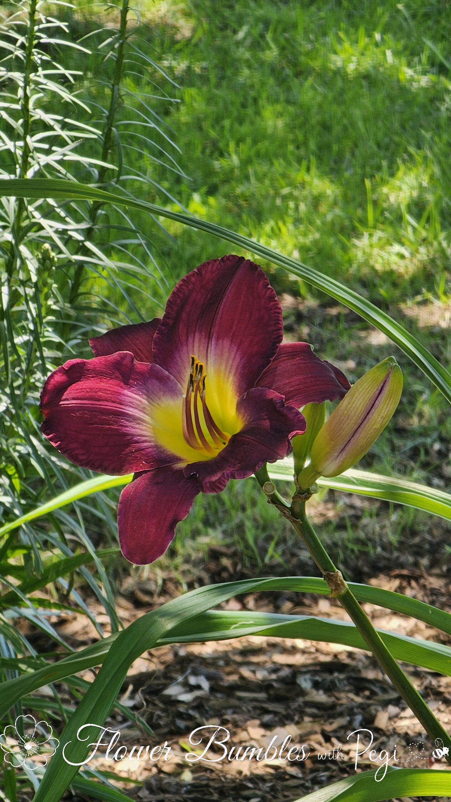 Casual Botanical Snapshot