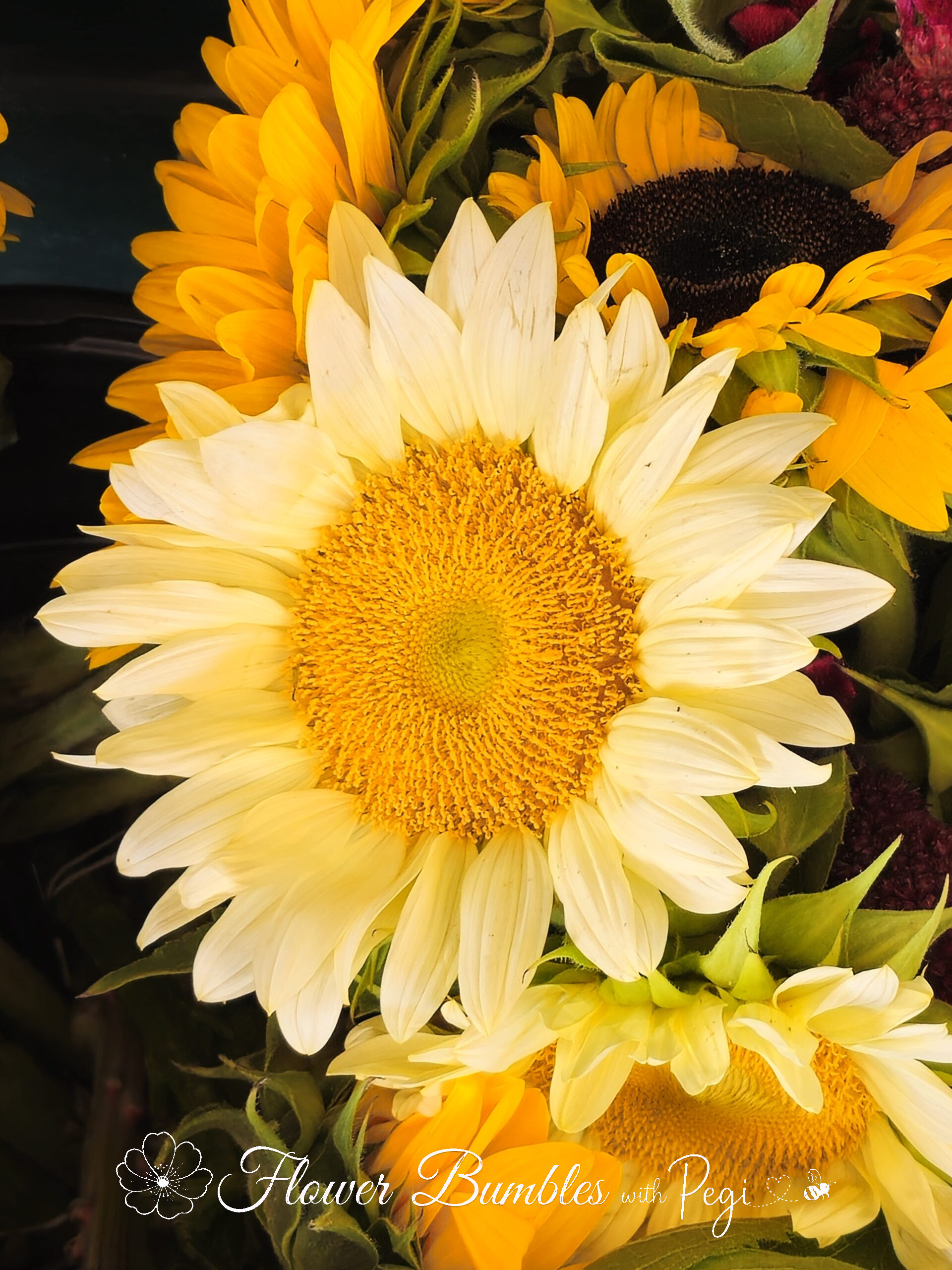 Fine Art Botanical Capture
