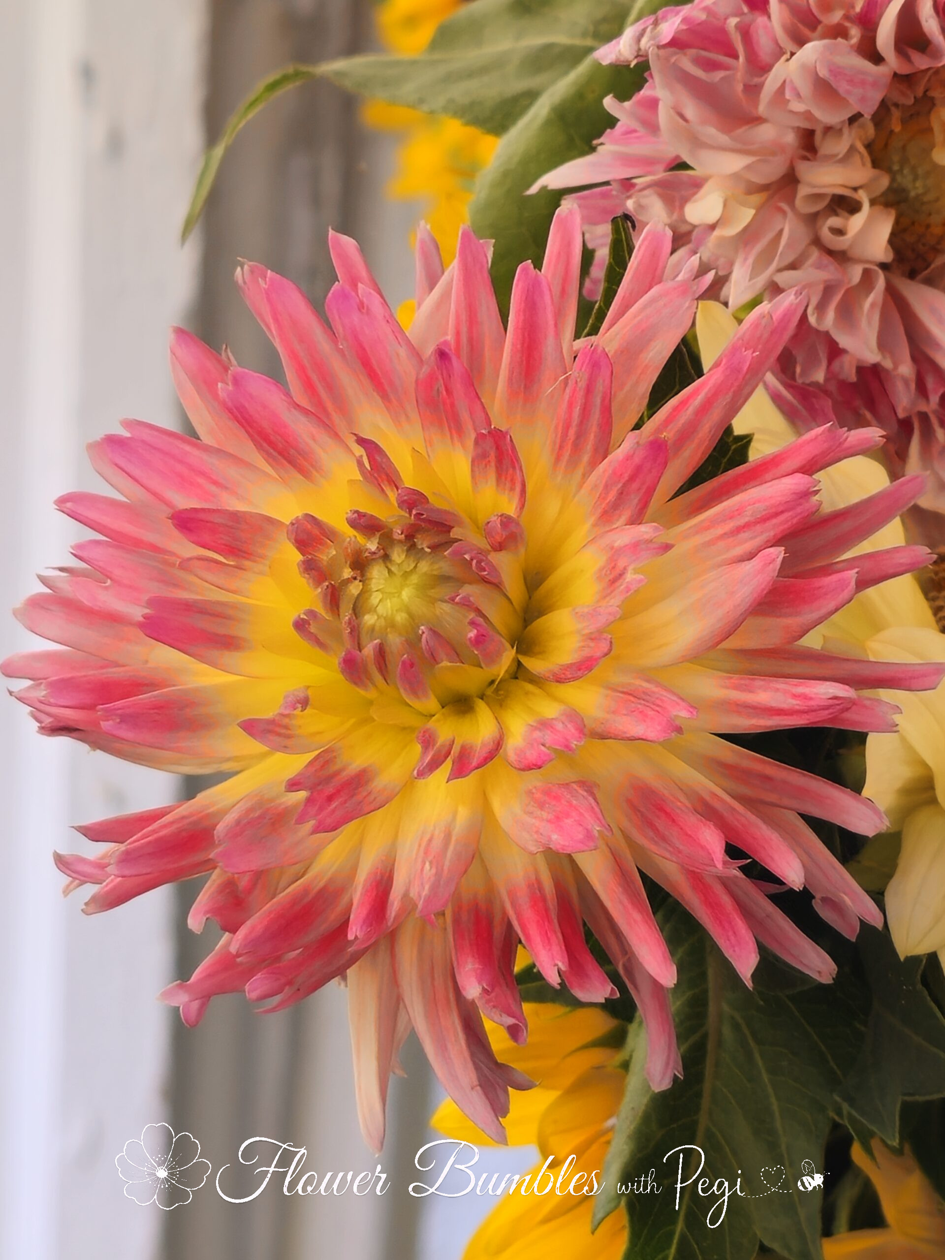 Casual Botanical Snapshot